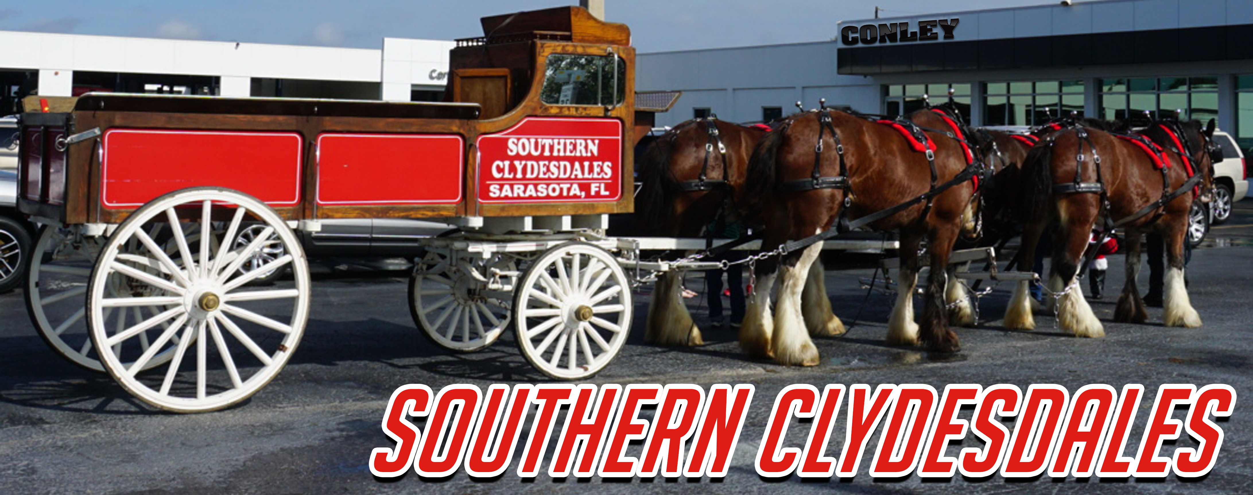 Southern Clydesdales Logo